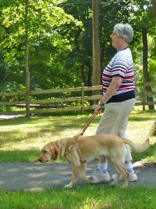 Woman and her service dog walking through a wooded park