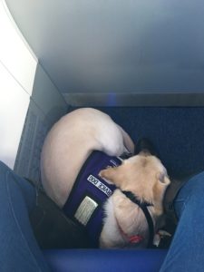 Leanna asleep on a plane, tucked tight at Bryana's feet